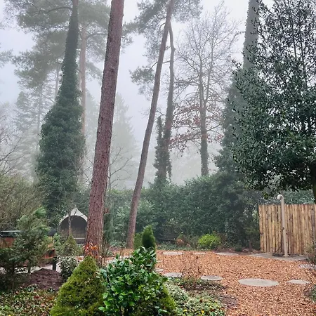 Met Eigen Wellness Onder De Bomen *