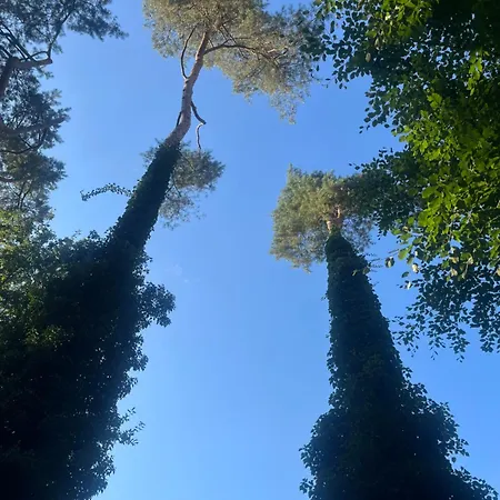Villa Met Eigen Wellness Onder De Bomen Lochem