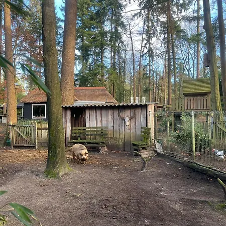Met Eigen Wellness Onder De Bomen Villa *