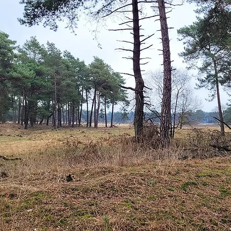 Villa Met Eigen Wellness Onder De Bomen