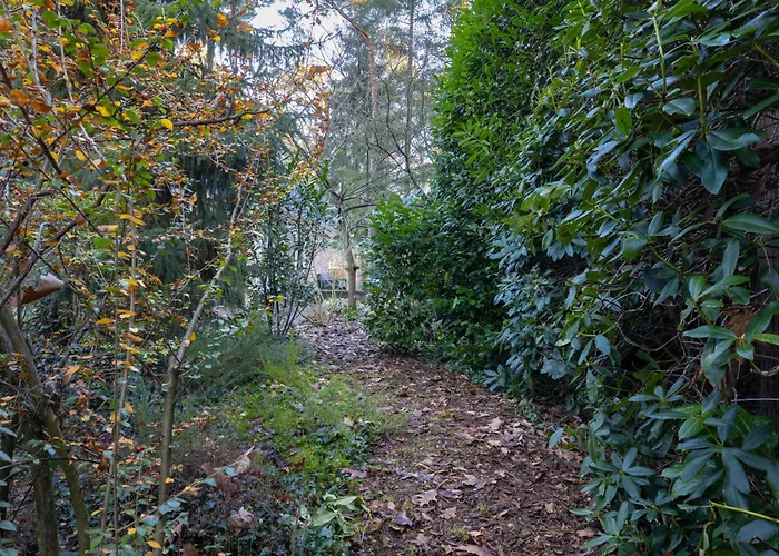 Met Eigen Wellness Onder De Bomen * Lochem
