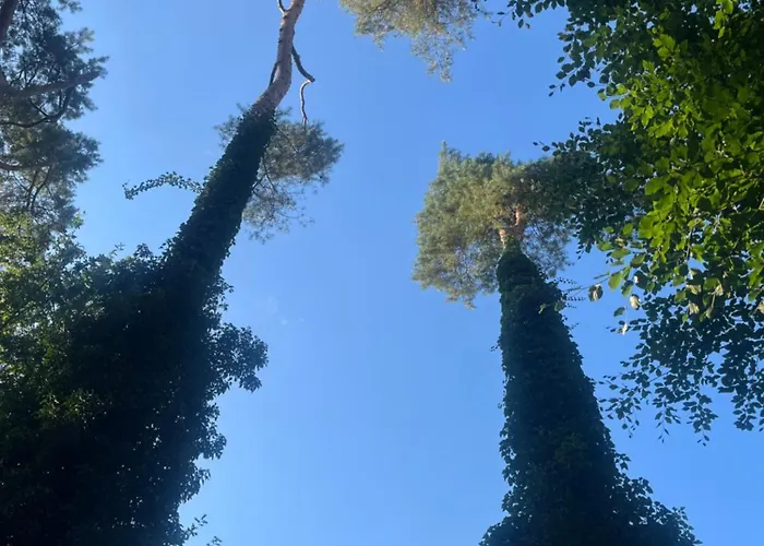 Villa Met Eigen Wellness Onder De Bomen Lochem