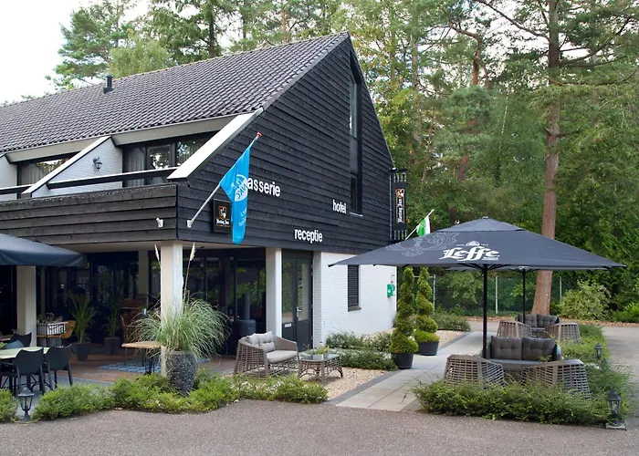 Villa Met Eigen Wellness Onder De Bomen Lochem