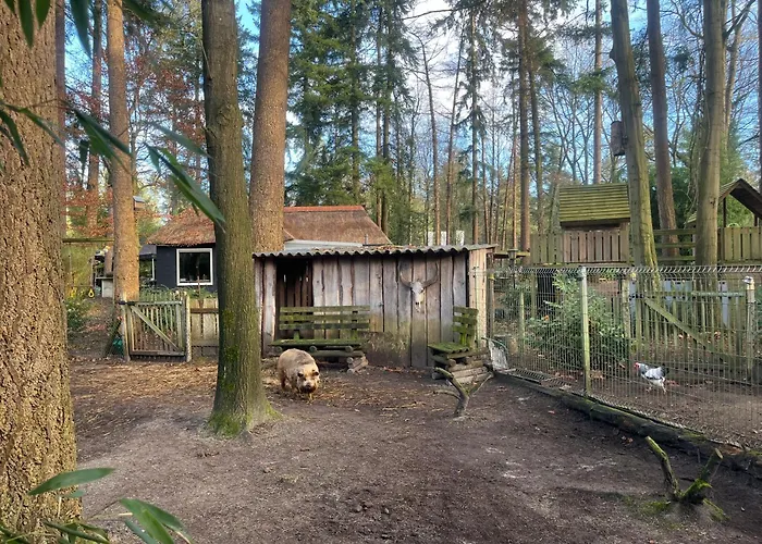 Met Eigen Wellness Onder De Bomen Villa *