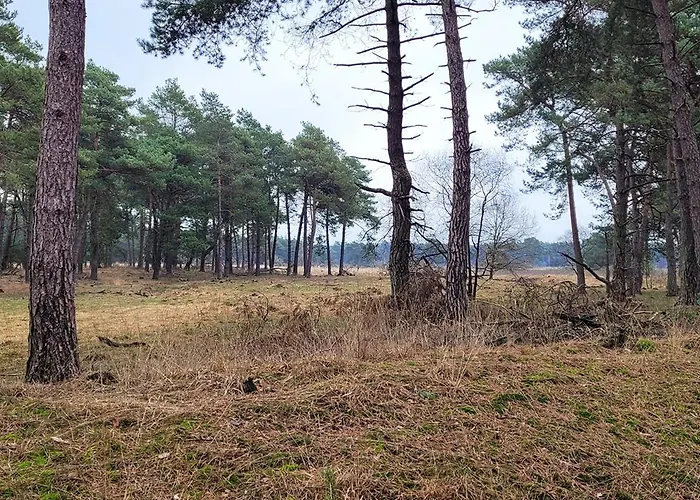 Villa Met Eigen Wellness Onder De Bomen